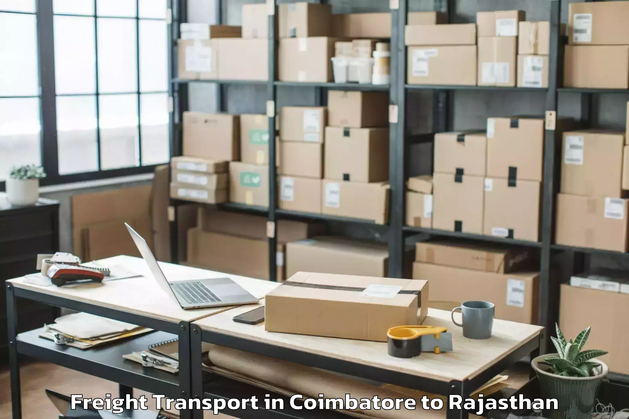 Reliable Coimbatore to Banswara Freight Transport